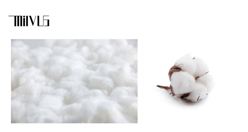 Vải Cotton là một trong những ưu tiên của người dùng khi chọn trang phục