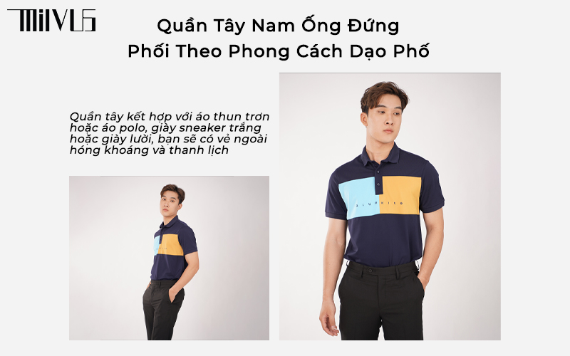 quần tây nam ống đứng