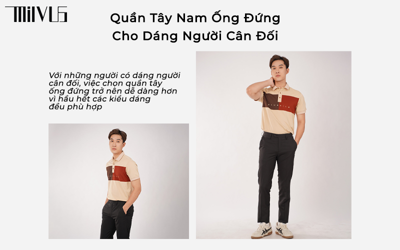 quần tây nam ống đứng