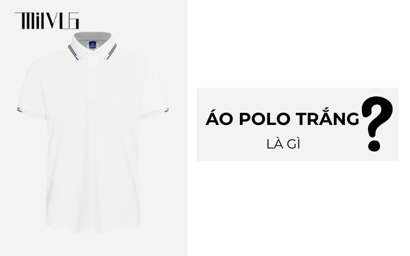 Áo polo trắng là gì?