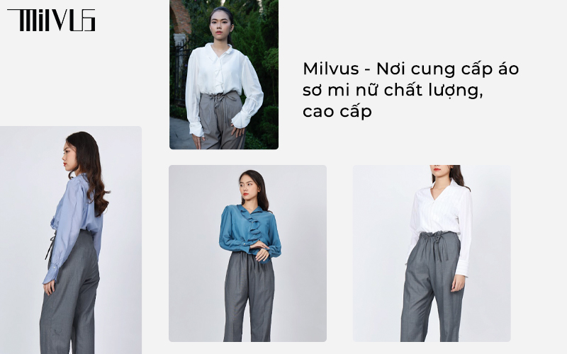 Milvus - Nơi cung cấp áo sơ mi nữ chất lượng, cao cấp