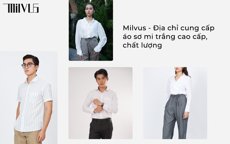 Milvus - Địa chỉ cung cấp áo sơ mi trắng cao cấp, chất lượng