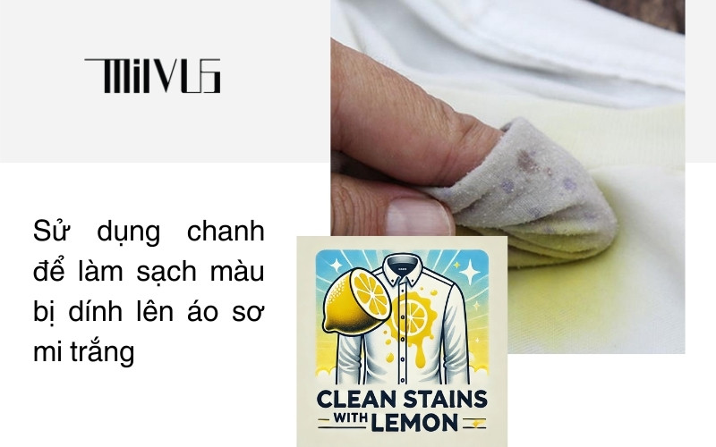 Thời Trang Công Sở Cao Cấp MILVUS