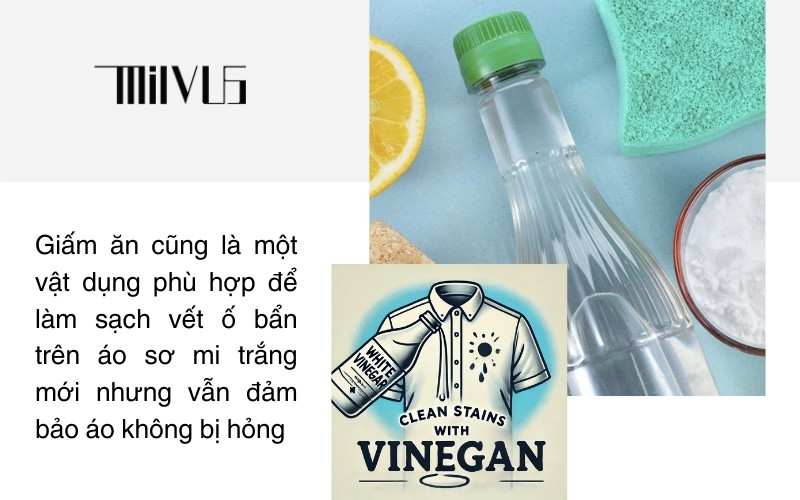 Thời Trang Công Sở Cao Cấp MILVUS