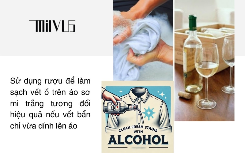 Thời Trang Công Sở Cao Cấp MILVUS