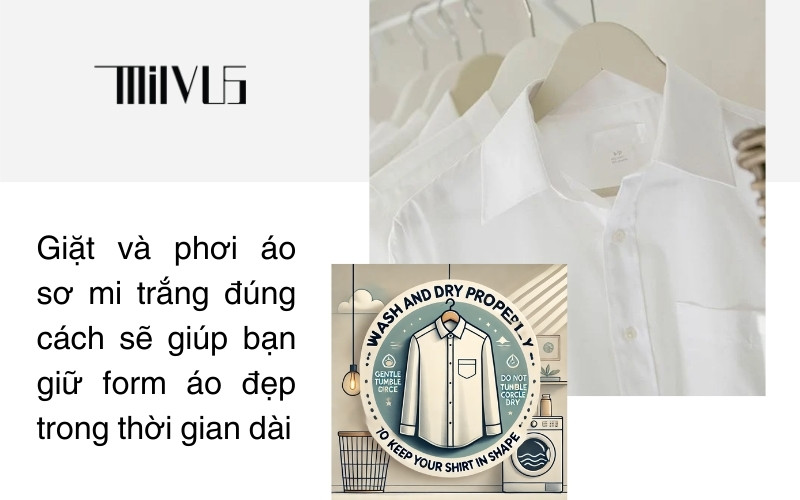 Thời Trang Công Sở Cao Cấp MILVUS