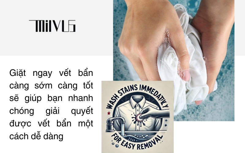 Thời Trang Công Sở Cao Cấp MILVUS