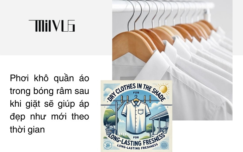 Thời Trang Công Sở Cao Cấp MILVUS