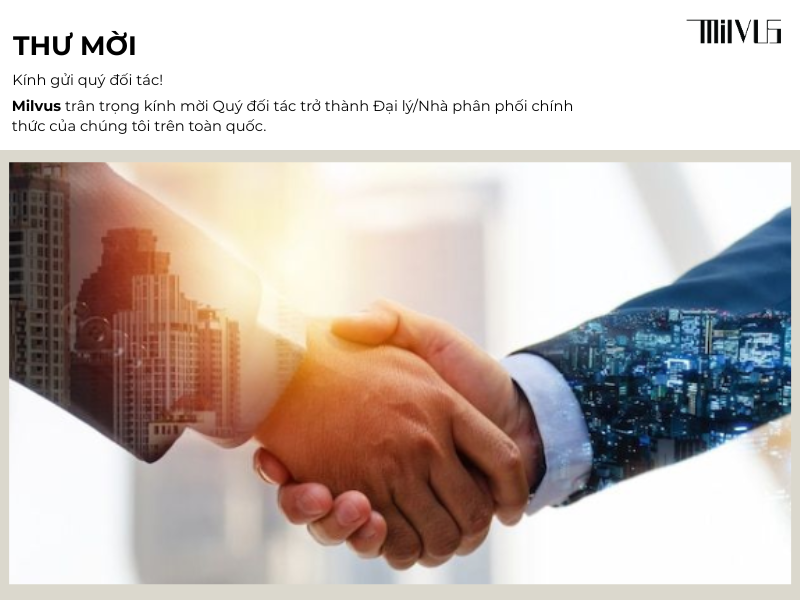 Thời Trang Công Sở Cao Cấp MILVUS