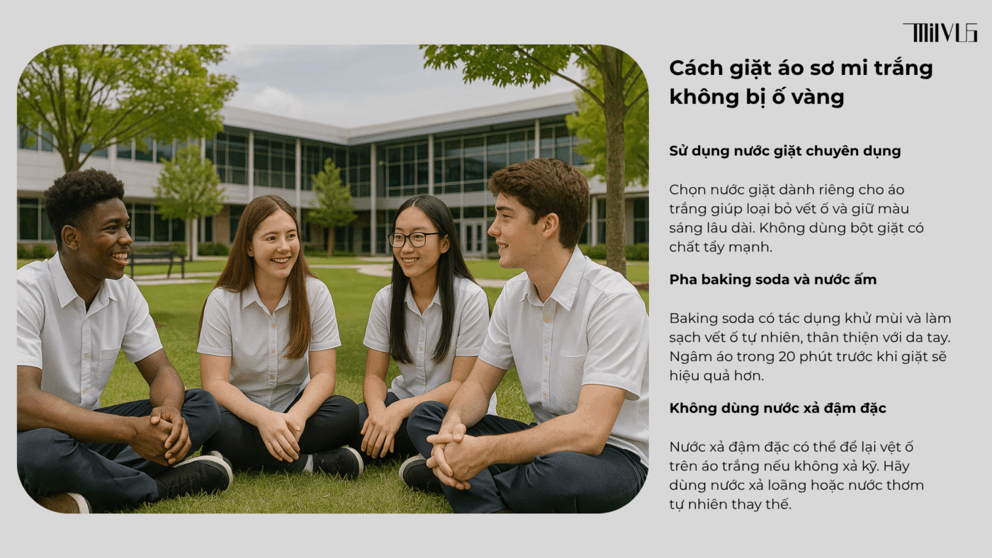 Áo Sơ Mi Trắng Cho Học Sinh - Cấp 3