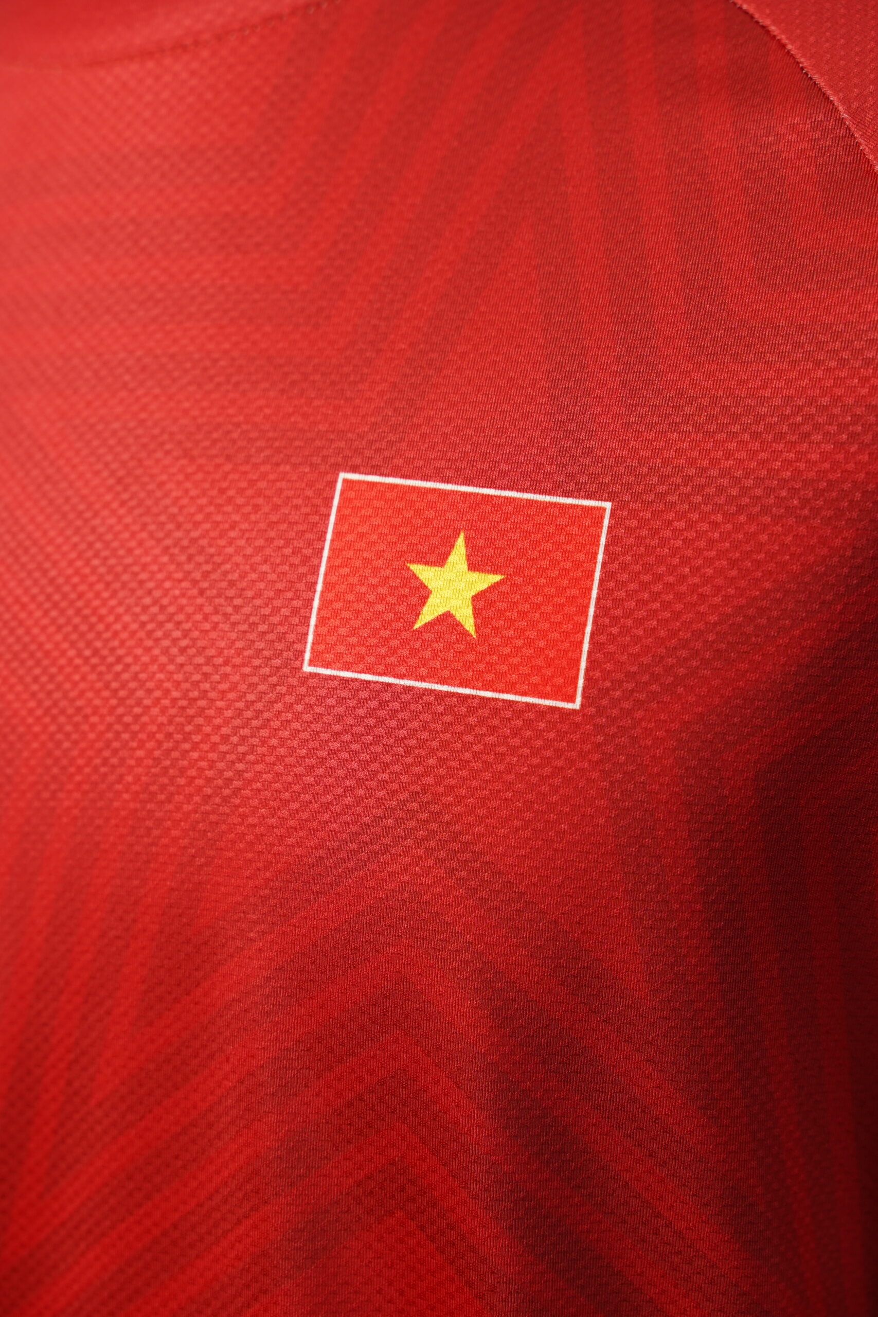 BST WORLD CUP 2026 VIET NAM - Ảnh 6