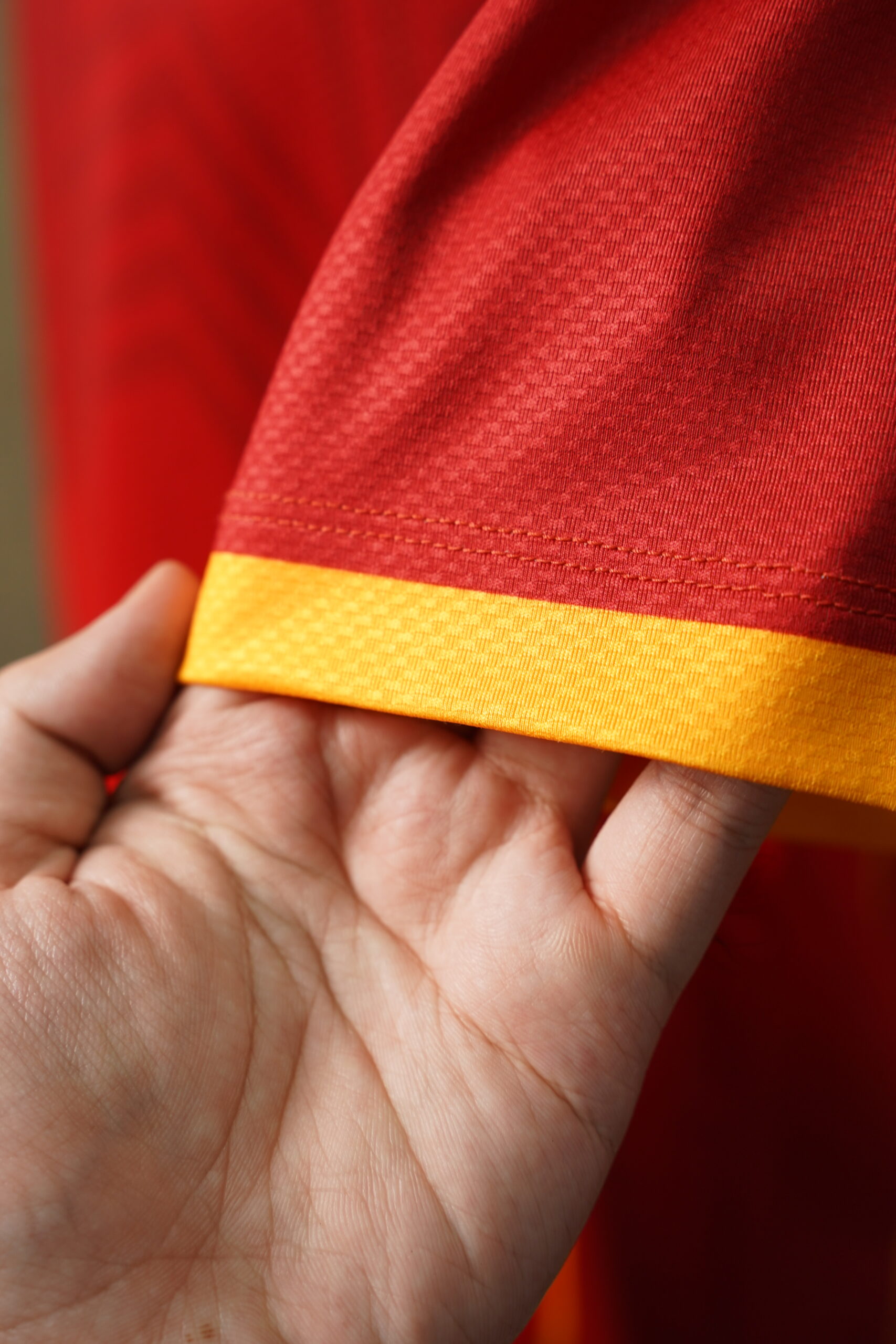 BST WORLD CUP 2026 VIET NAM - Ảnh 7