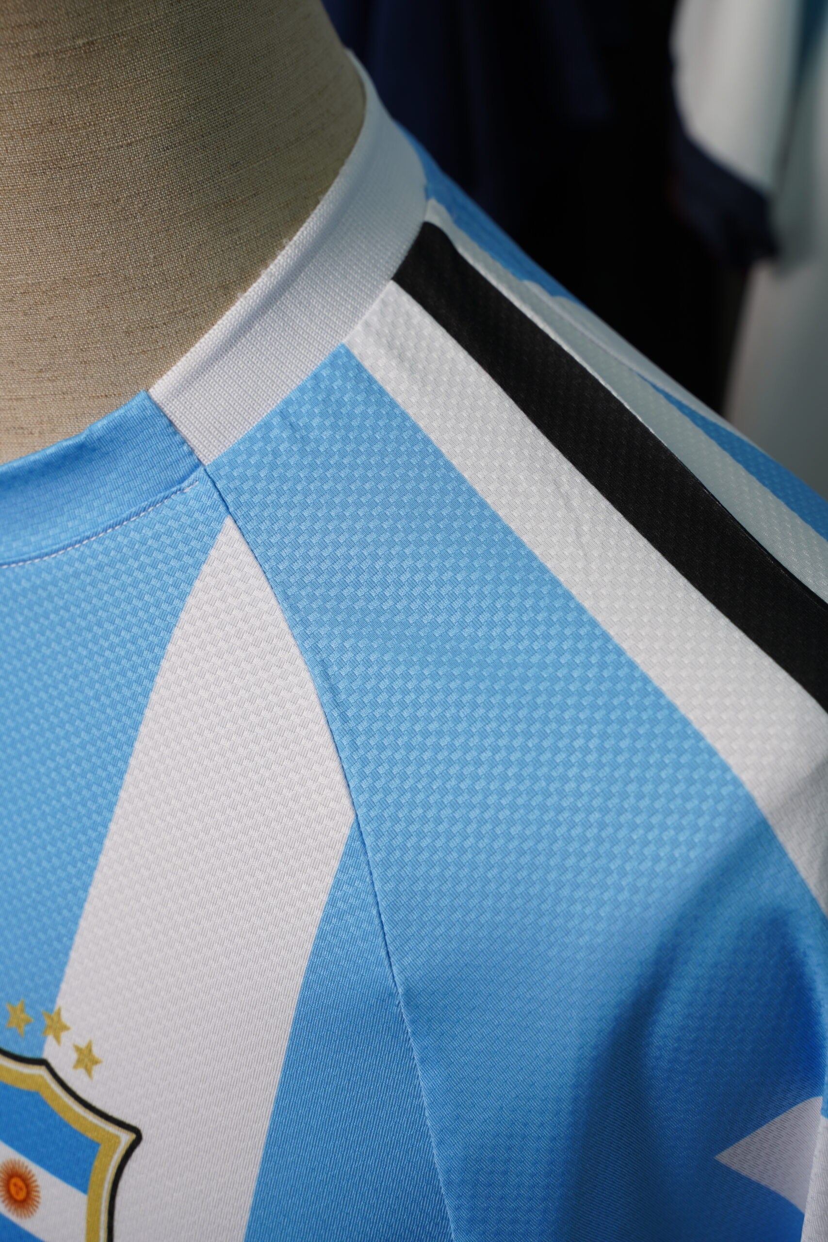 BST WORLD CUP 2026 ARGENTINA - Ảnh 8